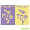 金在中KIM JAE JOONG - 3RD ALBUM [BORN GENE]