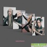 BLACKPINK - 2nd ALBUM [BORN PINK] DIGIPACK ver.