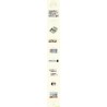 WJSN 2022 PHOTO BOOK DAIy WJSN [PHOTO BOOK ver.]