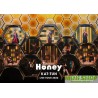 KAT-TUN／KAT-TUN 2022巡迴演唱會 Honey 普通版 (2DVD) 台壓