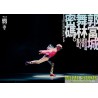 郭富城AARON - 郭富城舞林密碼世界巡迴演唱會  2Blu Ray + USB