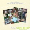 HEARTS2HEARTS - 1ST SINGLE [THE CHASE] (PACKAGE VER.)