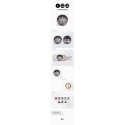 BTS - ARIRANG (613 LIMITED EDITION PICTURE DISC VINYL)