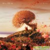 Pandora - BLOOM LP (ORANGE)
