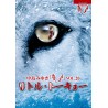 中島美雪 - YAKAI VOL. 20: LITTLE TOKYO DVD