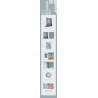 Kanjani 8 關8 十五祭 DVD＆Blu-ray