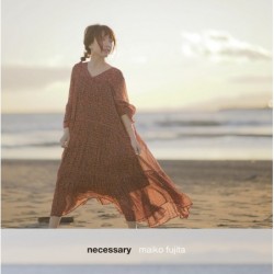 MAIKO FUJITA 藤田麻衣子...