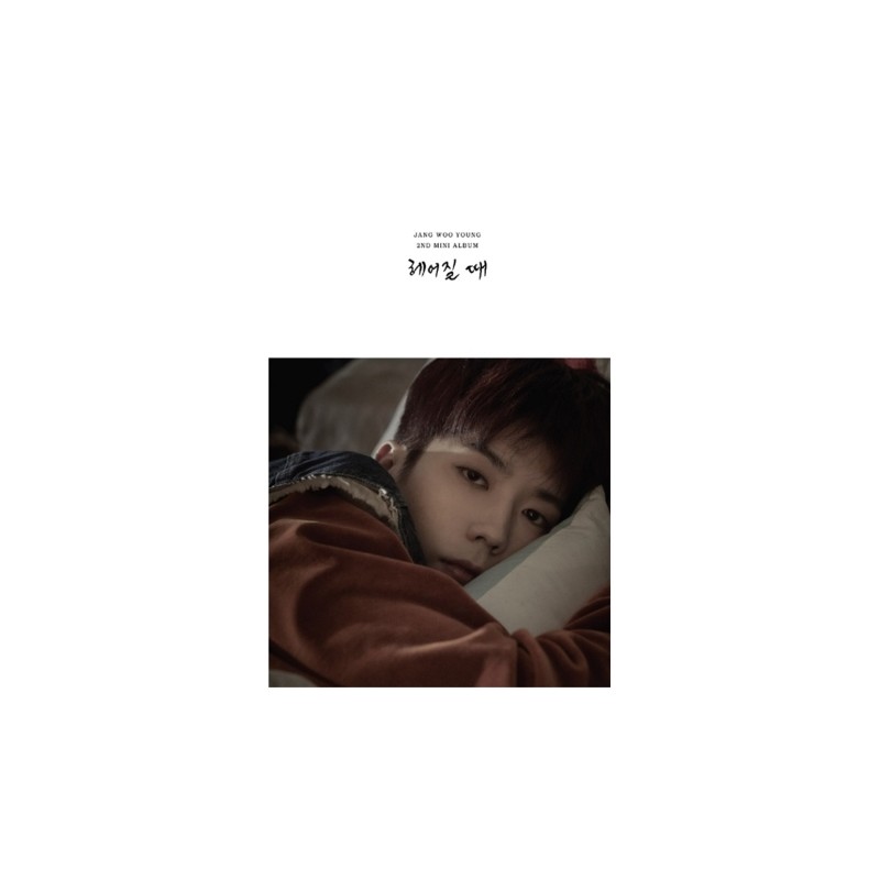 張佑榮 WOOYOUNG (From 2PM) Mini Album Vol.2 [break up]