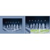 V6 – It's my life/ PINEAPPLE 通常