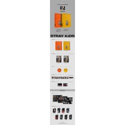 STRAY KIDS - VOL.1 REPACKAGE IN LIFE(Random Ver.)