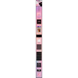 Ver.4 BLACKPINK - 1ST FULL ALBUM [THE ALBUM]