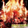 AIMER／SPARK-AGAIN 初回生産限定盤 (CD+DVD) 台壓