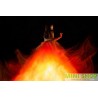 Aimer 6th album『Walpurgis』 完全生産限定盤（CD +3 Blu-ray）