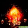 Aimer 6th album『Walpurgis』初回生産限定盤A（CD + Blu-ray）