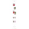MINA GRAY VER. (A) - YES, I AM MINA. (PHOTOBOOK) GRAY VER. (A)