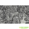 ROSE - ROSE FIRST SINGLE ALBUM -R-
