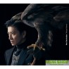 初回B 木村拓哉 / Next Destination(CD+DVD)