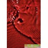 堂本剛 平安神宮 奉納演奏 二○二○(Blu-ray)
