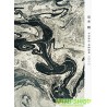 堂本剛 平安神宮 奉納演奏 二○二○【初回盤】DVD