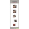 金在煥 KIM JAE HWAN - THE LETTER (4th MINI ALBUM) KIT