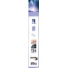 MAMAMOO - 2021 MAMAMOO ONLINE CONCERT DVD