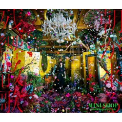 Aimer／殘響散歌/晨曦將至【普通盤】台壓
