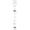 SEVENTEEN - [SEVENTEEN In CARAT LAND] DVD (2 DISC)